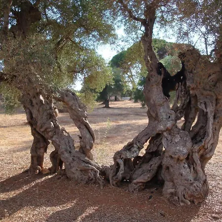 Feudo - Pajara Curte 3 By Salento Prime